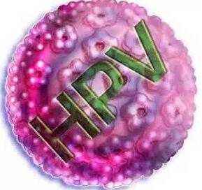 RA|t(y)Ժ:HPVȾô£܌(do)mi