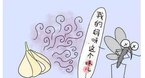 4|ǰݻ@N֪