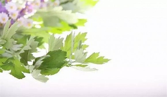 ܚgӭ ֪ĹЧÆ