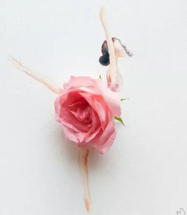 Ů˽ܺ󻨈@Ҫôo