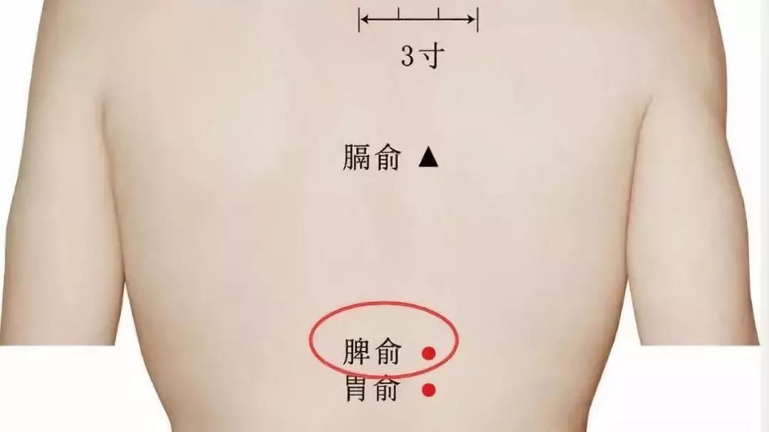 ʲô˳ԲǿǡθƢ