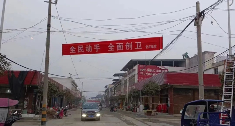 迎新春 美環(huán)境 保健康——鎮(zhèn)平縣積極開展愛國(guó)衛(wèi)生運(yùn)動(dòng) 持續(xù)鞏固疫情防控成果