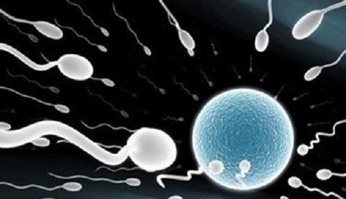 精子質(zhì)量下降女性或是不孕，或是流產(chǎn)，如何提升男人的精子質(zhì)量呢？