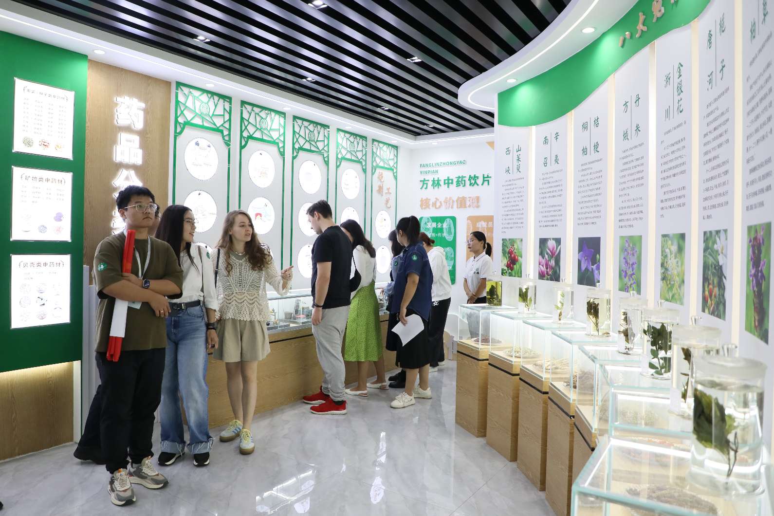 仲景之光 “新”耀世界丨來源可溯，去向可追！這家企業(yè)的中藥飲片有了“數(shù)字身份證”
