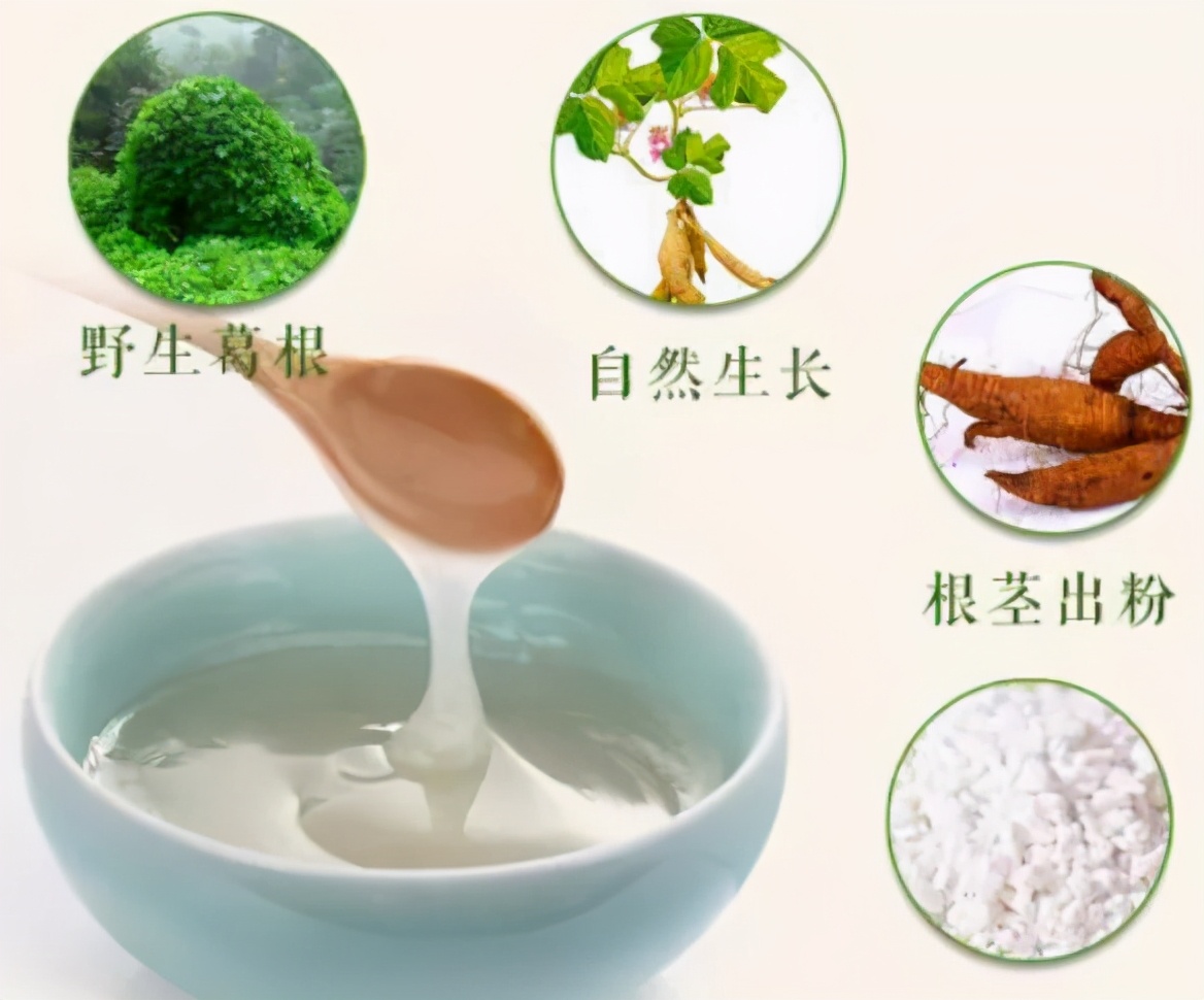 解肌退熱、生津止渴話葛根——藥食兩用歷史悠久，有“亞洲人參”的美譽