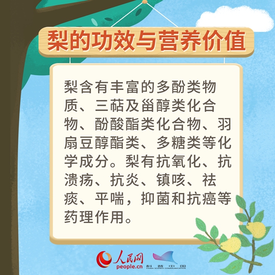 驚蟄吃梨百病遠離，推薦四個食療方