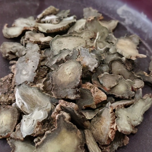 中藥三七很名貴 用時一定要分真假