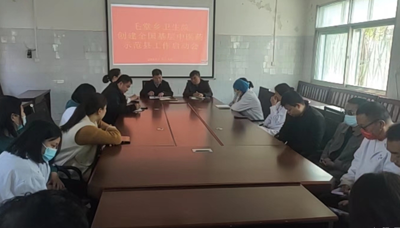 淅川縣毛堂鄉(xiāng)衛(wèi)生召開創(chuàng)建“全國基層中醫(yī)藥工作示范縣”啟動(dòng)會(huì)