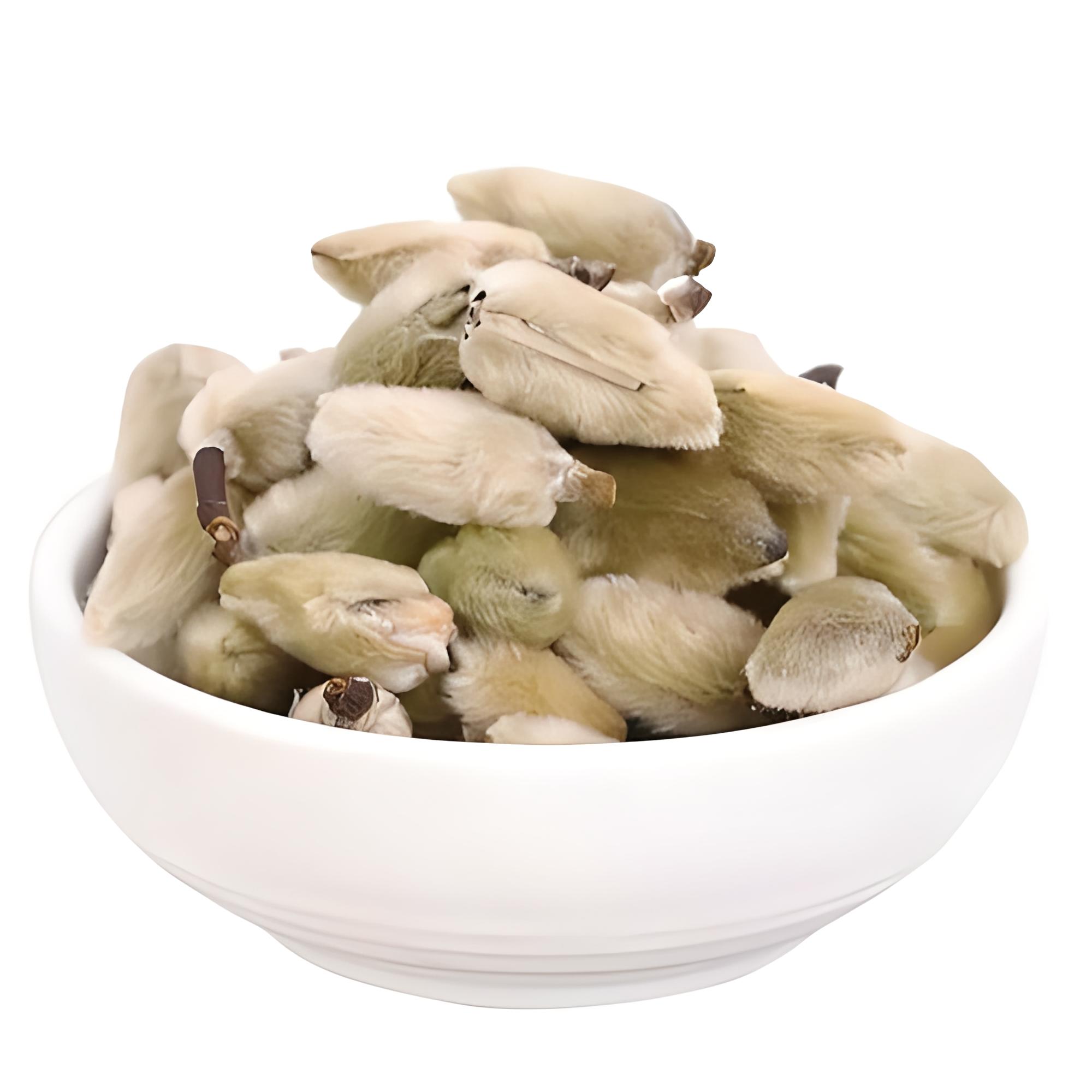 八大宛藥之辛夷 八大宛藥之辛夷