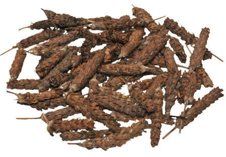夏枯草：清肝瀉火，明目，散結(jié)消腫