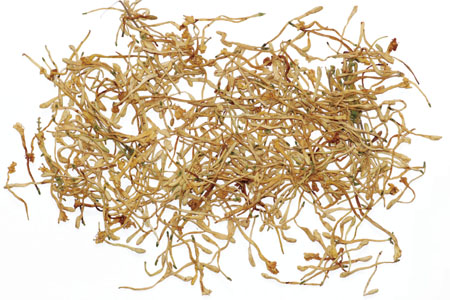 金銀花：清熱解毒，疏散風熱