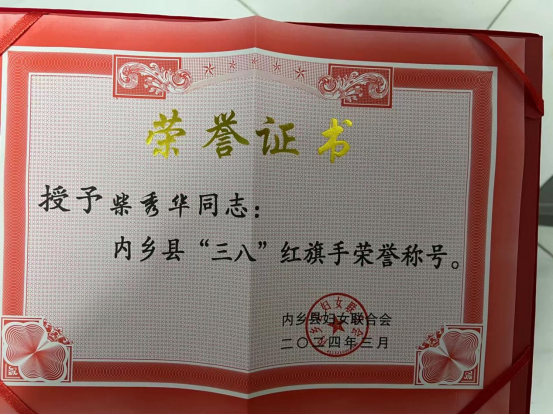 內(nèi)鄉(xiāng)桃溪鎮(zhèn)衛(wèi)生院：巾幗建功展風姿、獻身職業(yè)譜新曲