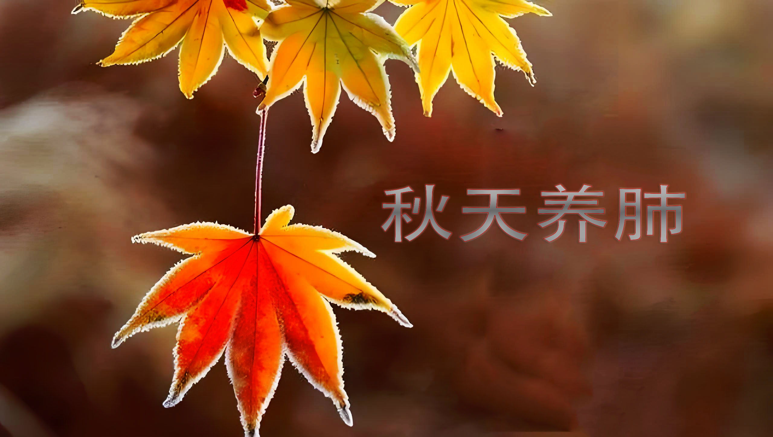 秋天養(yǎng)肺關(guān)鍵期，做到這幾點(diǎn)，排毒養(yǎng)顏不長(zhǎng)痘，養(yǎng)成好皮膚！