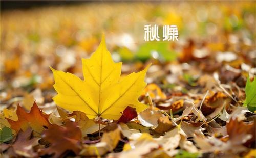 秋燥？秋天的養(yǎng)生重點(diǎn)就是“養(yǎng)陰潤(rùn)燥”