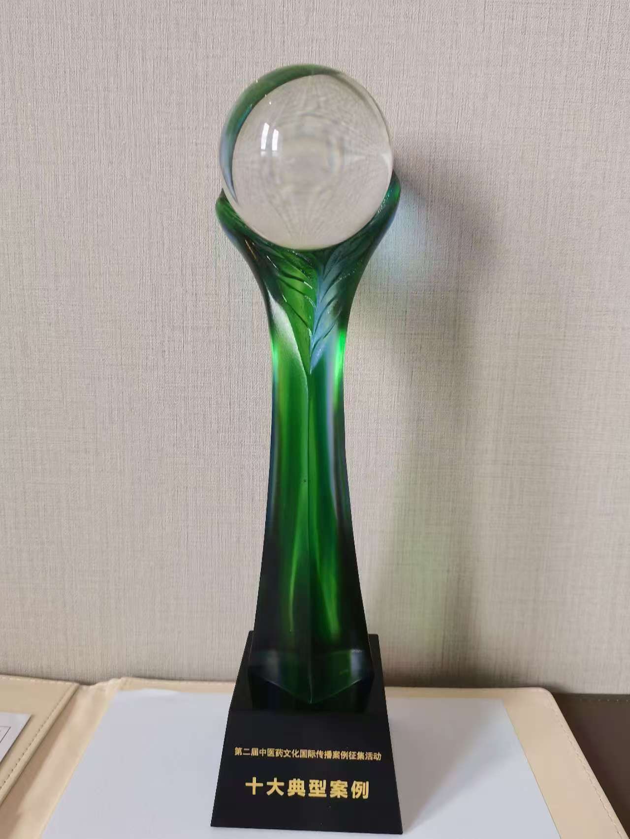 南陽醫(yī)專在第二屆中醫(yī)藥文化國際傳播案例評選中榮獲佳績
