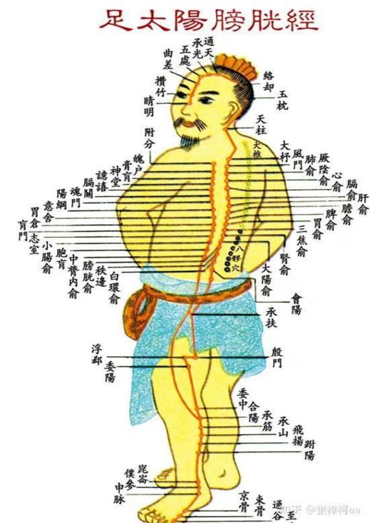 五處穴：頭痛、目眩、視力減退