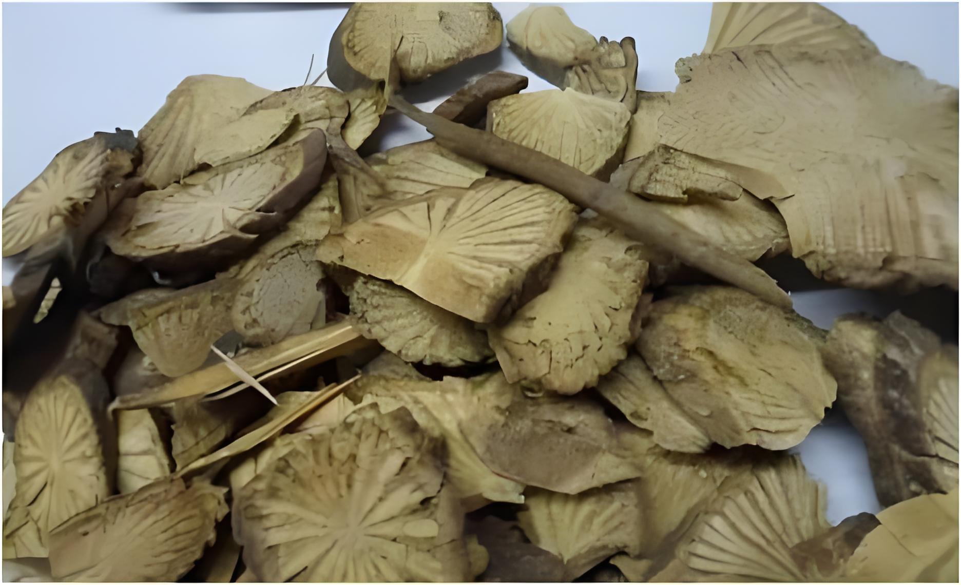 丁公藤：祛風濕，消腫止痛